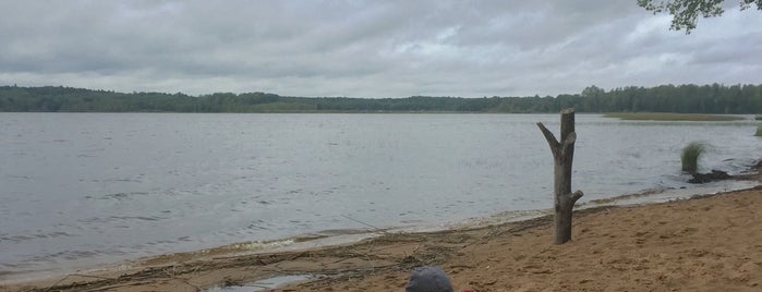 Пляж Лемболовского озера is one of Yunnaさんのお気に入りスポット.