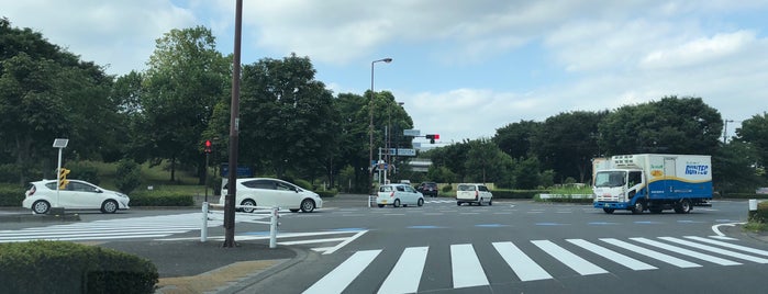 昭和記念公園立川口前交差点 is one of 道路.