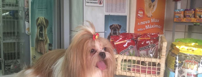 Pet Shop Momento De Beleza is one of Petshops e Clínicas Veterinárias.