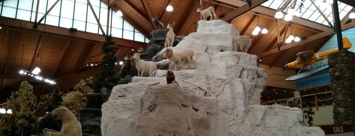 Cabela's is one of Poconos.