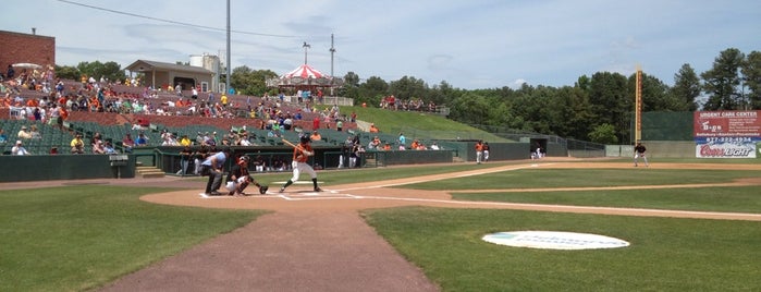 Arthur W Perdue Stadium is one of This is Birdland.