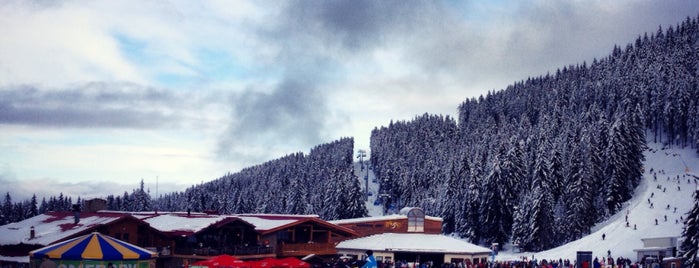 Ски-зона Банско (Bansko Ski Zone) is one of Özcan Emlak İnş 👍: сохраненные места.