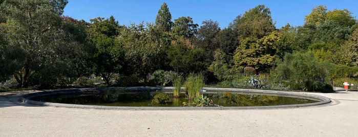 Jardin botanique du Jardin public is one of Bordeaux.