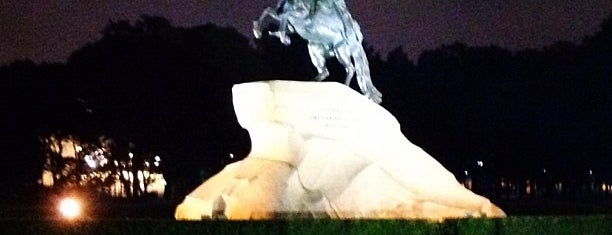 Bronze Horseman is one of St Petersburg.