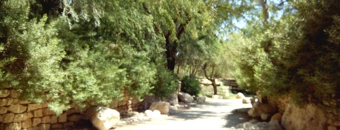 שדה בוקר is one of Israel South Nature & Trails.