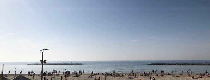 Gazos Beach is one of Tel Aviv.