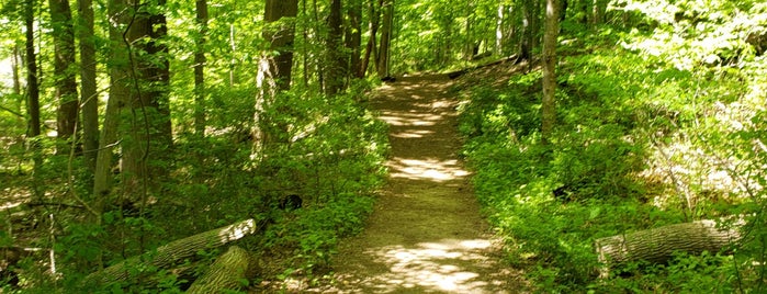 Rockleigh Woods Sanctuary is one of Persephone : понравившиеся места.