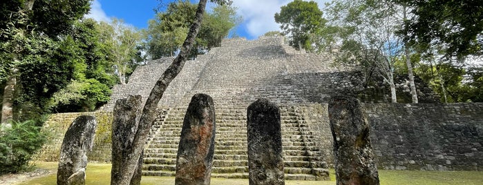 Reserva Ecologica Biosfera de Calakmul, Xpujil, Campeche. is one of cjmr.