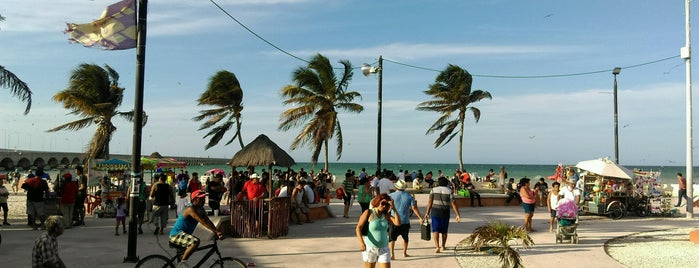 Malecón Internacional de Progreso is one of Merida.