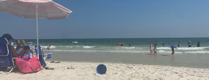 Gulf Shores, AL is one of Cortland’s Liked Places.