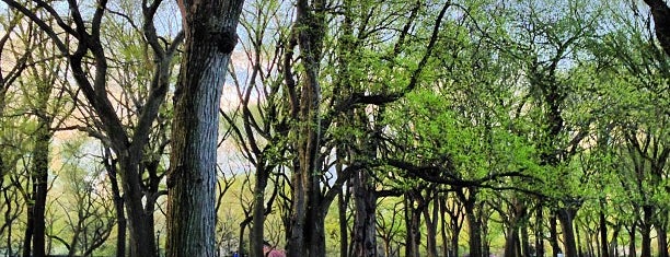 Центральный парк is one of NYC List.