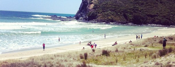 Auckland's Best Beaches