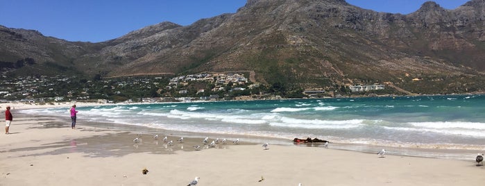 Hout Bay Harbour is one of Lugares favoritos de Serpil.