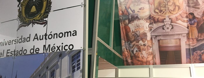 Feria Internacional Del Libro Del Estado De México is one of Locais curtidos por Pedro.