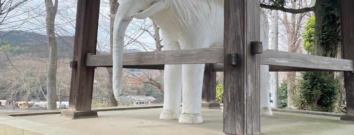 観音寺 is one of 飯能で行くところ.