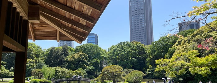 Japanese Traditional Garden is one of Sights To Visit While In Tokyo, Japan.