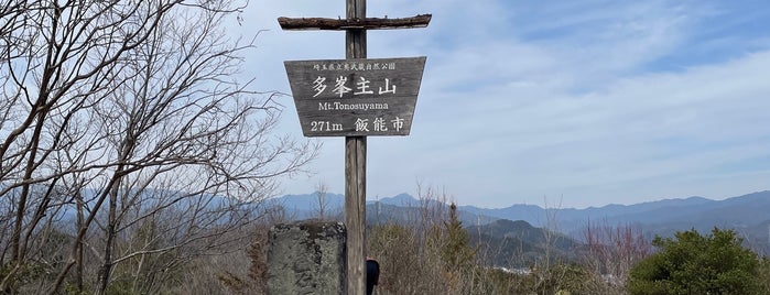 多峯主山 is one of ヤマノススメ.