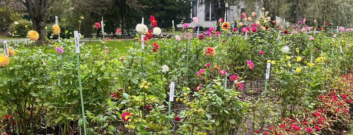 Halifax Public Gardens is one of Albha : понравившиеся места.