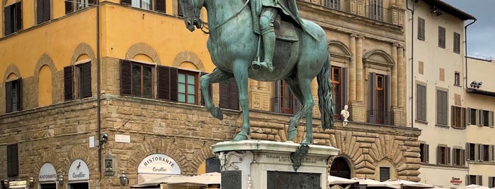Cosimo I Statue is one of Itálie.