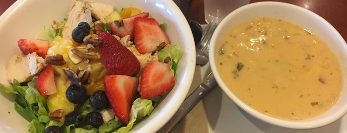 Panera Bread is one of 10 favorite restaurants.