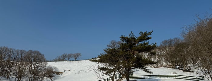 Daegwallyeong Sheep Ranch is one of South Korea.