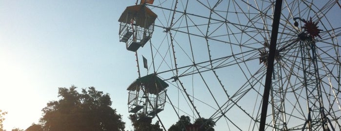 The Garden Of Unearthly Delights is one of local pubs.