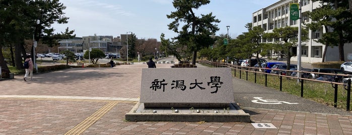 Niigata University is one of 国立大学 (National university).