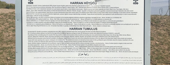 Harran Hoyuk is one of urfa.