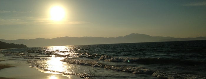 Praia de Jurerê Internacional is one of Locais curtidos por Carlos.