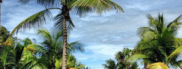 The St. Regis Bahia Beach Resort Puerto Rico is one of สถานที่ที่ Emily ถูกใจ.