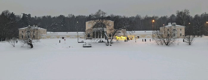 Нижний Кузьминский пруд is one of Мои любимые места.