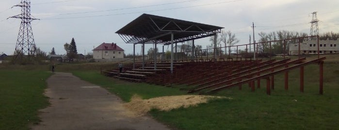 Стадион «Знаменский» is one of Спорт в Орле.
