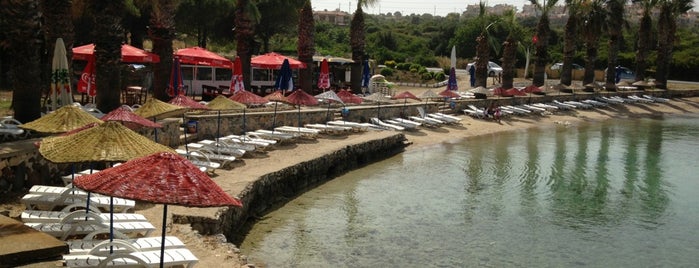Palmiye Beach & Cafe is one of Cesme plajlar.
