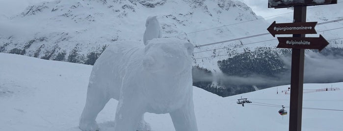 Alpina Hütte is one of The Dog's Bollocks' St Moritz.
