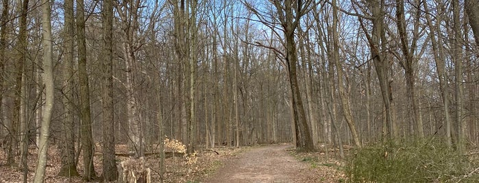 South Mountain Reservation is one of New Jersey.