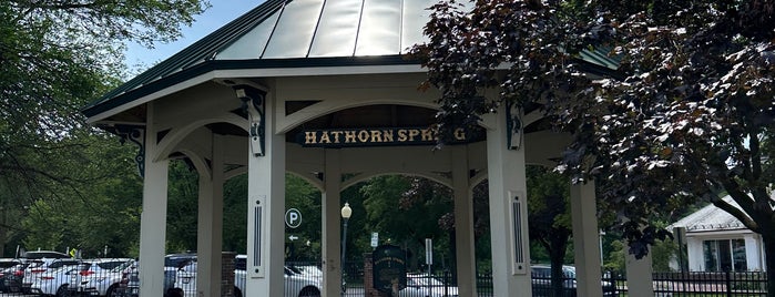 Hathorn #1 Mineral Spring (Cold Spring) is one of Saratoga.