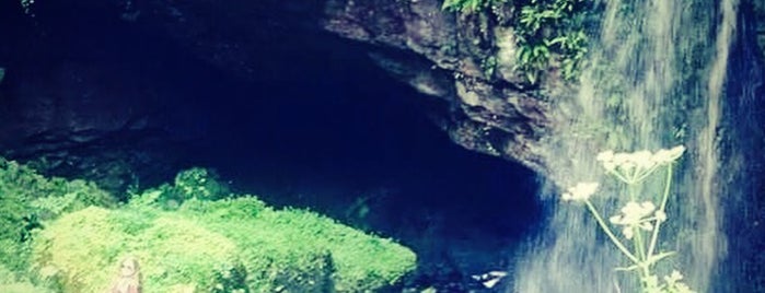 Marble Arch Caves is one of Ireland.
