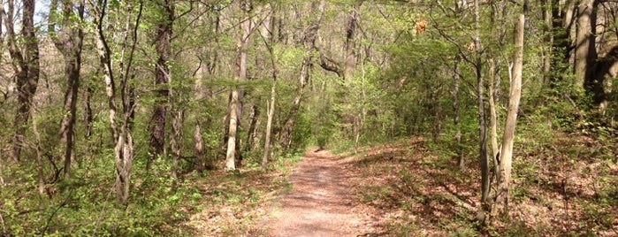 Jackson Bog State Nature Preserve is one of Rachel’s Liked Places.