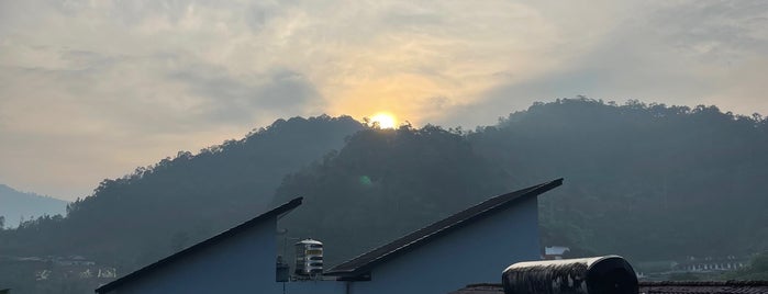 Ringlet is one of @Cameron Highlands, Pahang.