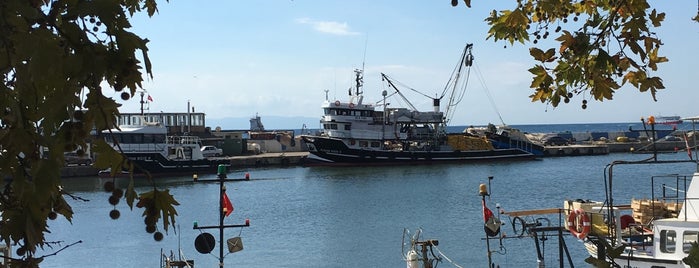 Tekirdağ Limanı is one of 3gen.