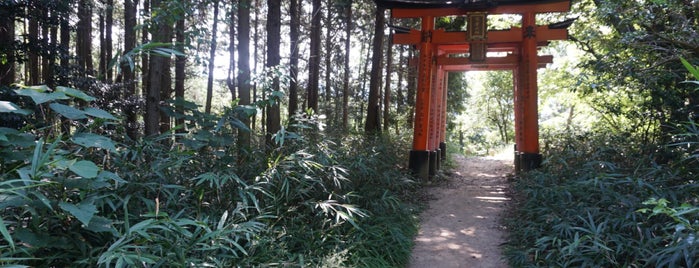 Fushimi Inari Taisha is one of Japan Highlights.