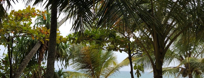 Mangrove Cabanas is one of Denis'in Beğendiği Mekanlar.