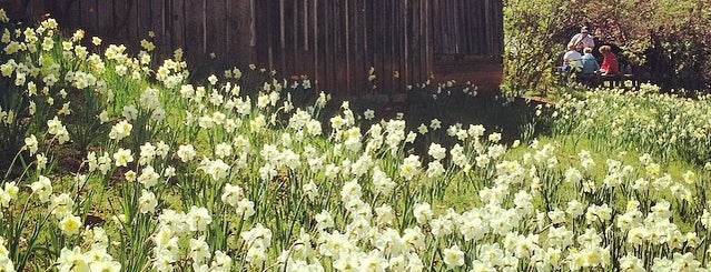 Daffodil Hill is one of Attractions.