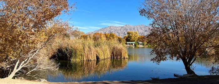 Floyd Lamb State Park is one of Las Vegas.