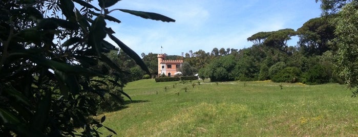 Villa Borghese is one of Gabriele d'Annunzio -  #ilVate4sq.