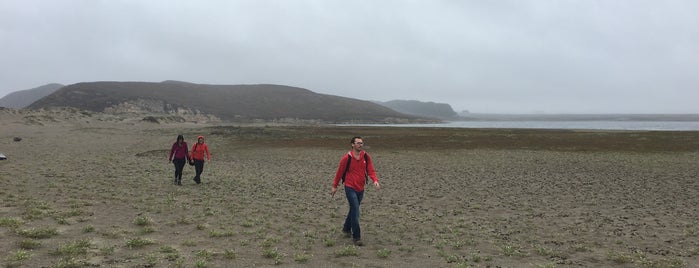 Abbotts Lagoon Trail Pt Reyes is one of North of SF: To Do.