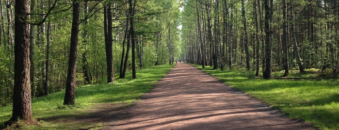Парк «Сосновка» is one of Tempat yang Disukai Iiona.