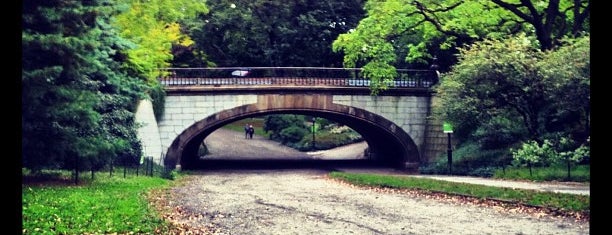 Winterdale Arch is one of Central Park🗽.