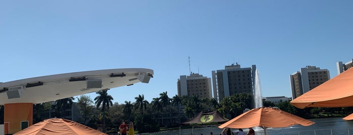 University of Miami Pool is one of Miami.