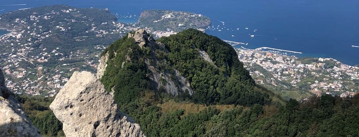Monte Epomeo is one of Ischia.